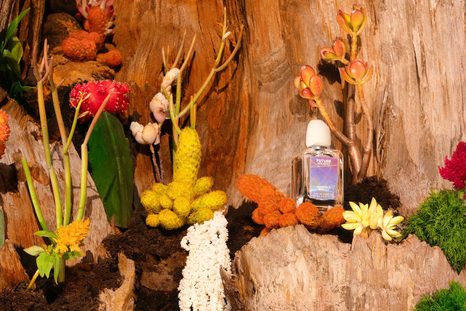 Future Society bottle in a surreal botanical landscape