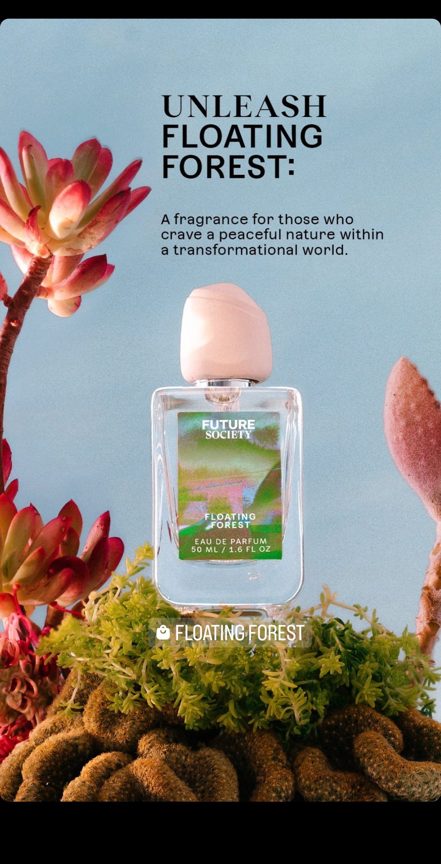 Unleash Floating Forest — scent story