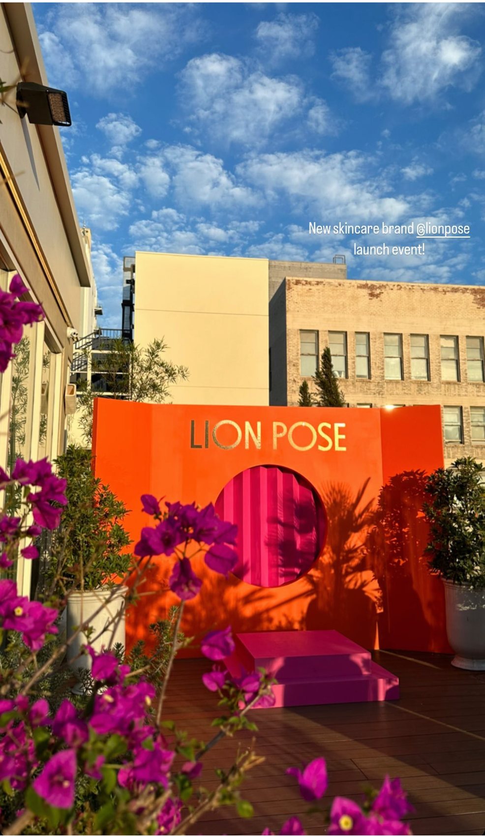 Lion Pose arch installation at the rooftop launch event